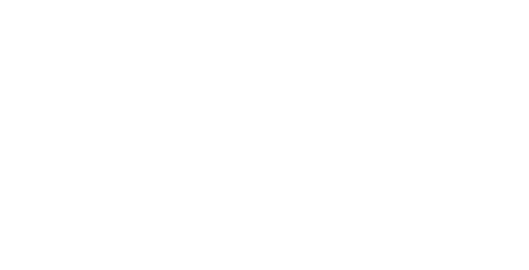 Fly254